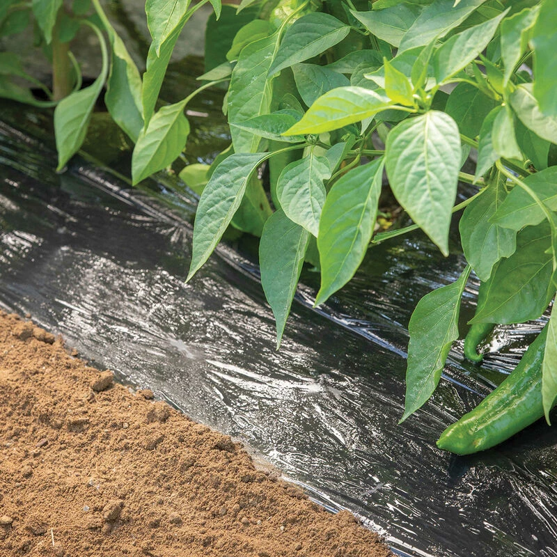 Bio360 Mulch – 4' X 500' 1 Bio360 Mulch – 4' X 500'