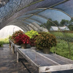 Knitted 30% Shade Cloth – 20' X 125'