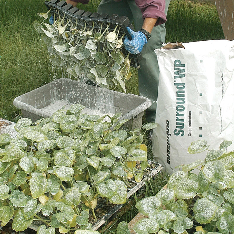 Surround® WP – 25 Lb. 1 Surround® WP – 25 Lb.