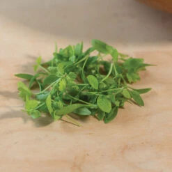 Parsley -Garden Care Shop 3770m 03 parsley